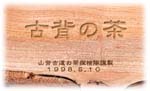 Ṽx